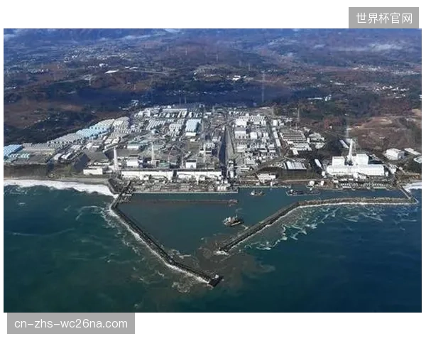 生物基材料已超越“环保”叙事，在轻量化、能量回馈、耐用性上展现出超越传统石化材料的潜力
