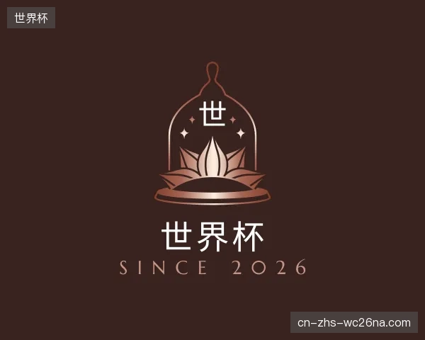 了解世界杯